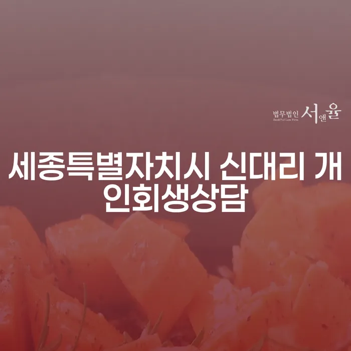 세종특별자치시 신대리 개인회생상담, 왜 필요한가요?